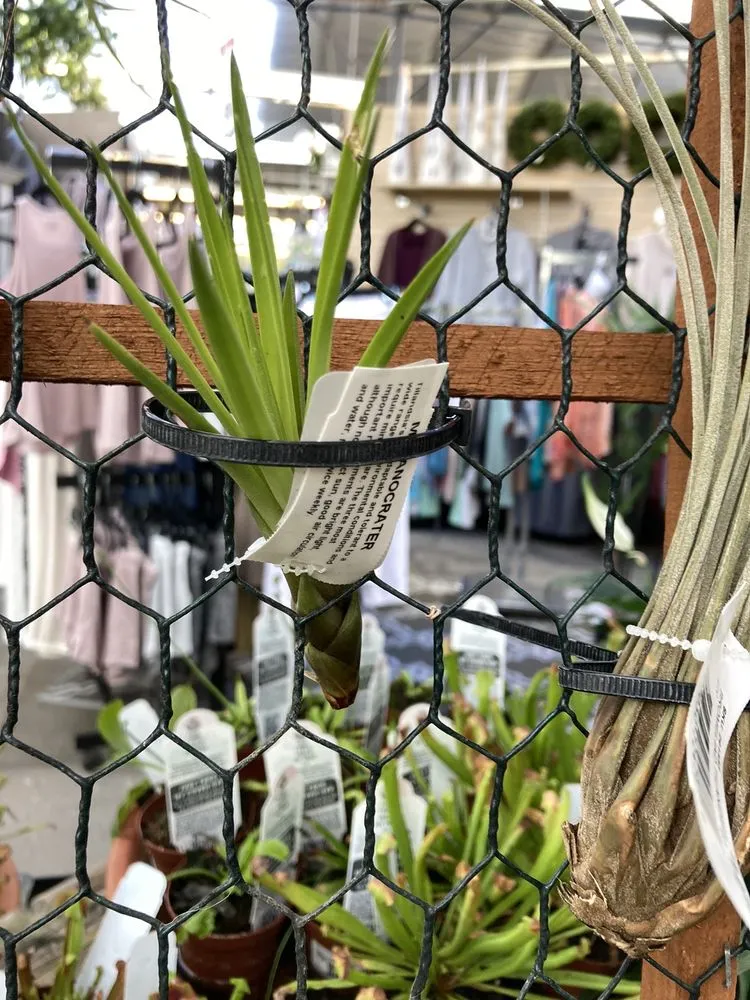 Custom lawn mowing service in Harrisburg, PA by Stauffers Of Kissel Hill Home & Garden