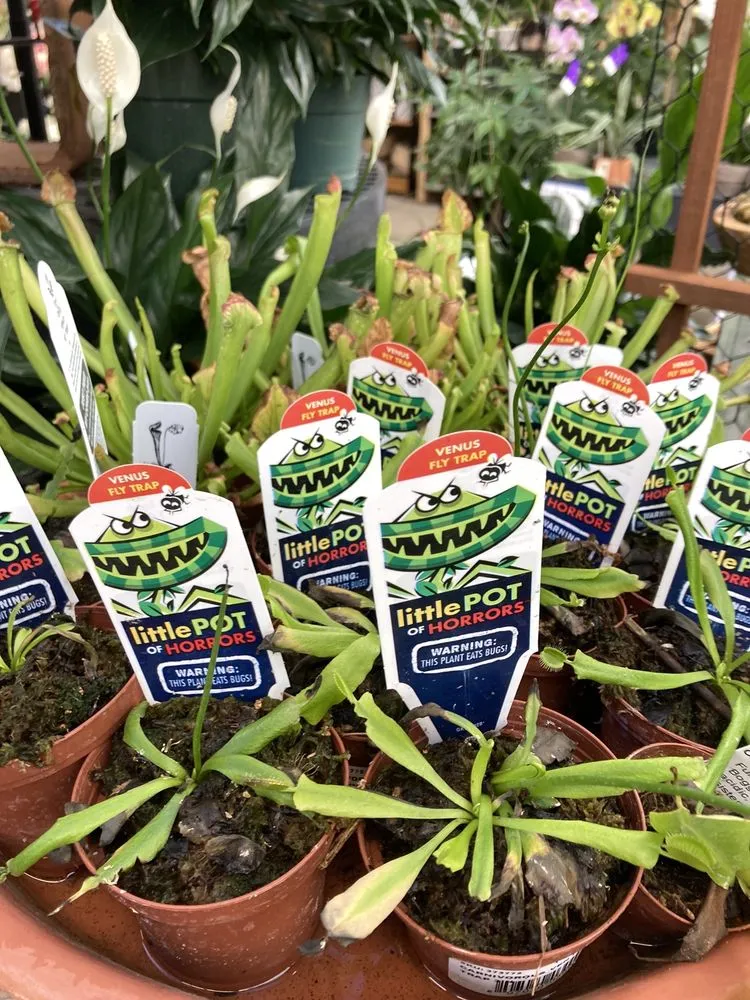 Affordable yard maintenance experts serving Harrisburg, PA - Stauffers Of Kissel Hill Home & Garden