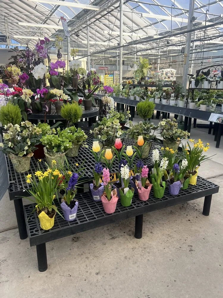 Local landscape installation in Harrisburg, PA by Stauffers Of Kissel Hill Home & Garden