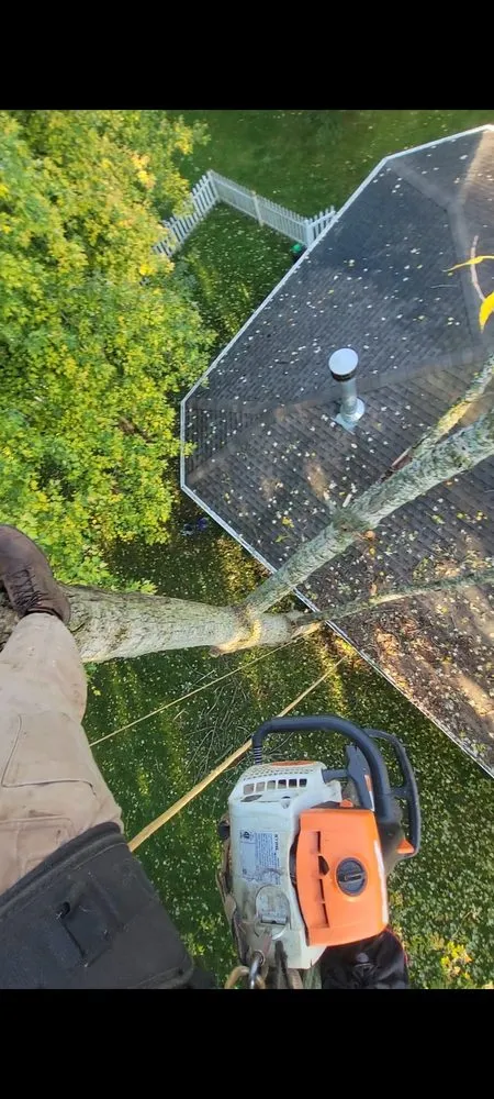 Top-rated landscape installation experts serving Waukesha, WI - Stay Brush Tree Service and Landscaping