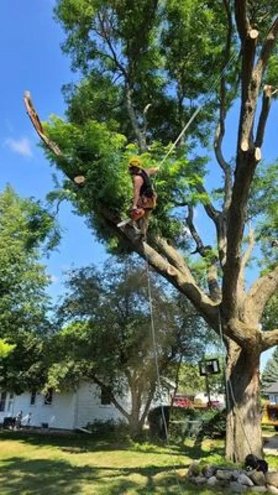 Expert lawn care service with custom design in Waukesha, WI by Stay Brush Tree Service and Landscaping