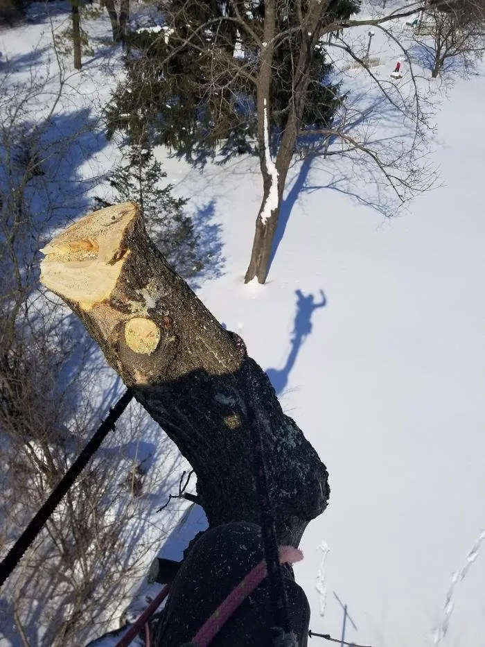 Top-rated lawn mowing service in Waukesha, WI by Stay Brush Tree Service and Landscaping