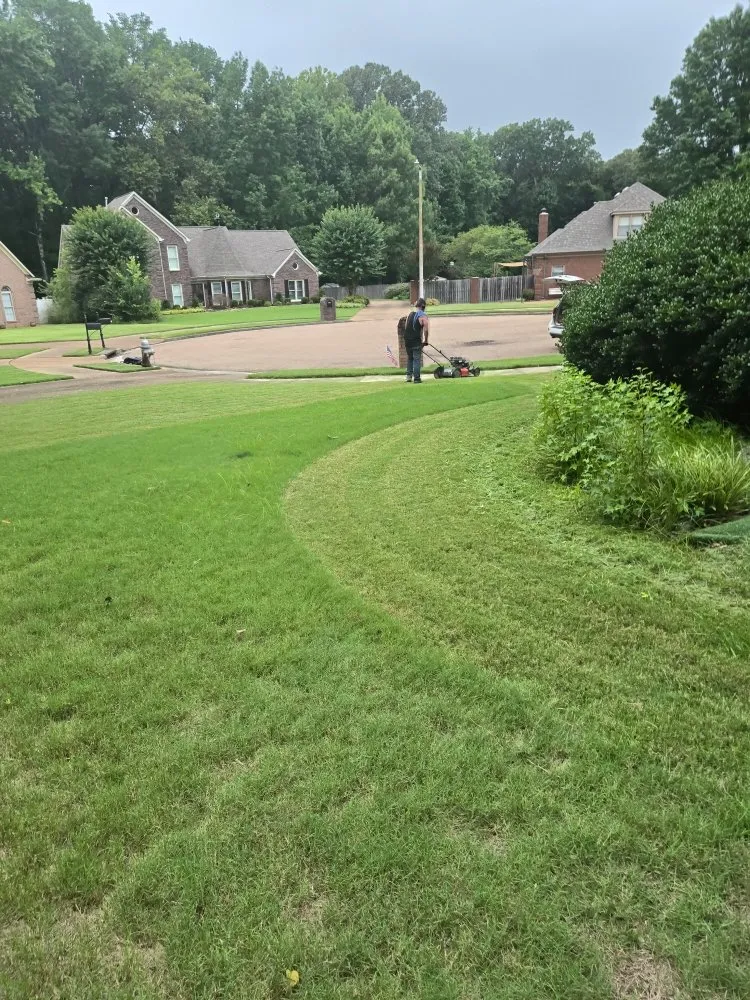 Professional lawn care service in Memphis, TN - Stay Clean Services