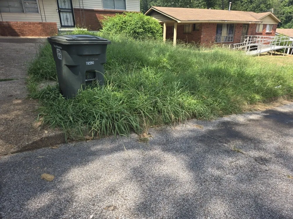 Top-rated garden landscaping in Memphis, TN - Stay Clean Services