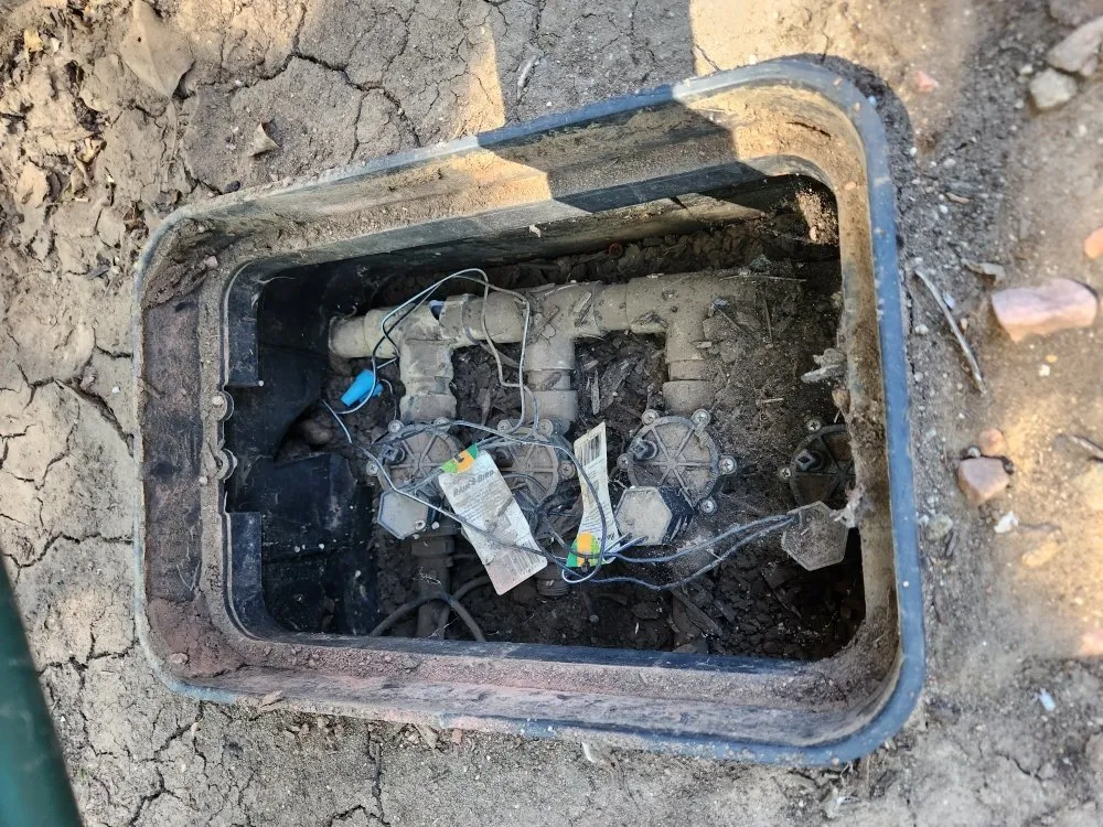 Reliable yard cleanup service in Lakewood, CO by Stay Fresh LLC