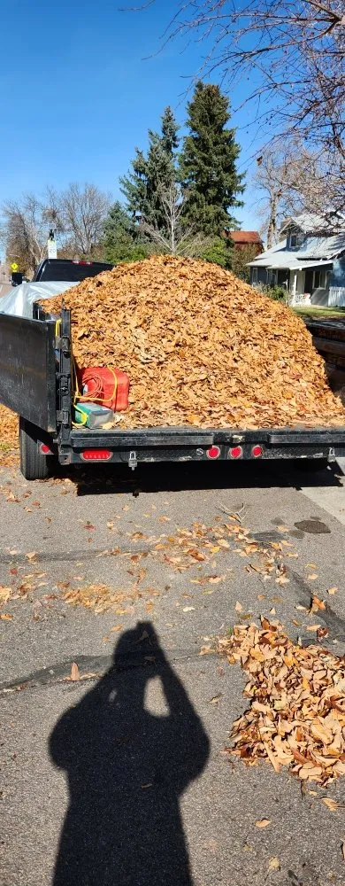 Local garden landscaping experts serving Lakewood, CO - Stay Fresh LLC