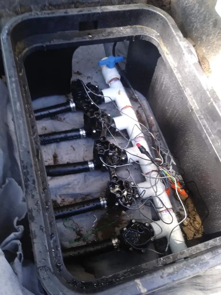 Top-rated landscape installation for residential properties in Lakewood, CO by Stay Fresh LLC