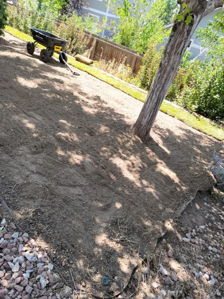 Local yard maintenance for year-round maintenance in Lakewood, CO by Stay Fresh LLC