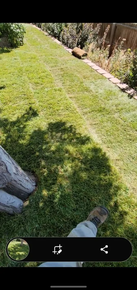 Affordable residential landscaping with custom design across Lakewood, CO - Stay Fresh LLC