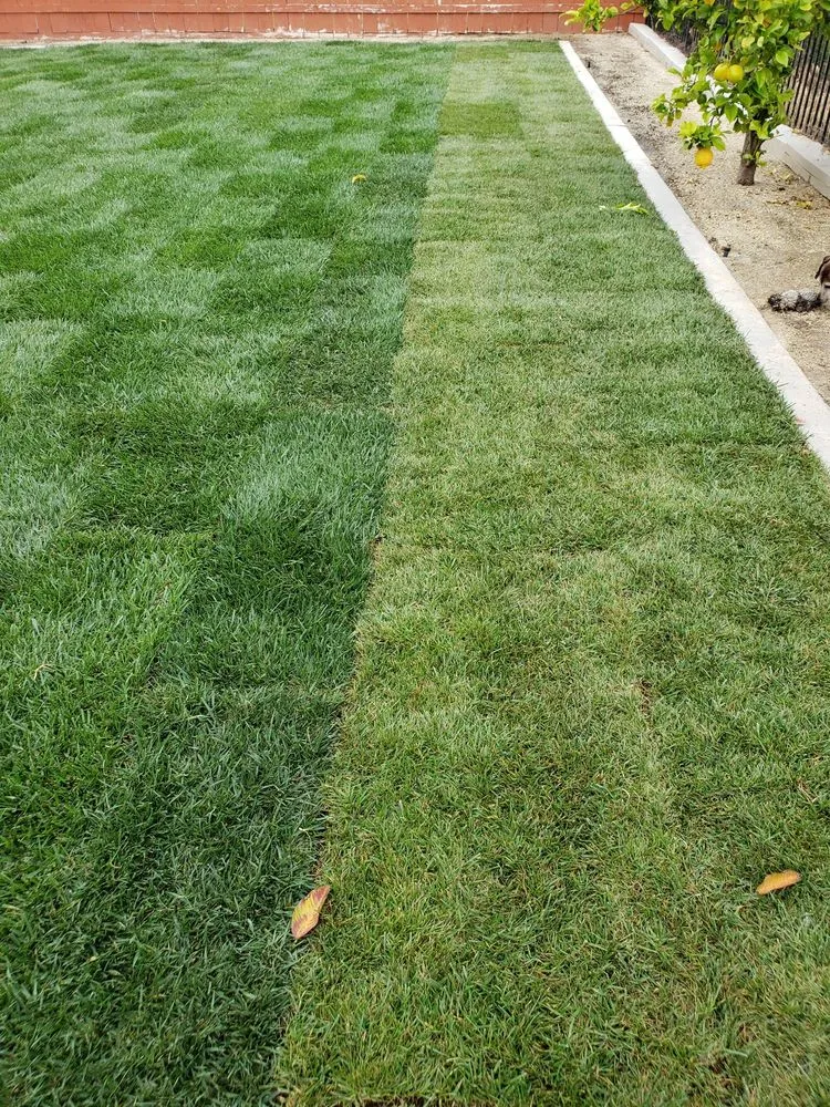 Affordable landscaping services in El Cajon, CA - Stay Green and Clean Landscapers