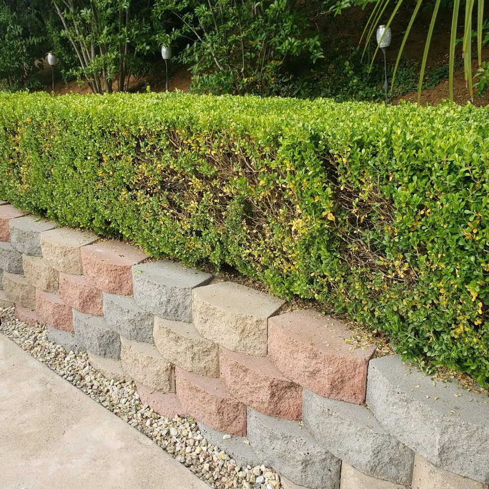 Custom landscape design experts serving El Cajon, CA - Stay Green and Clean Landscapers