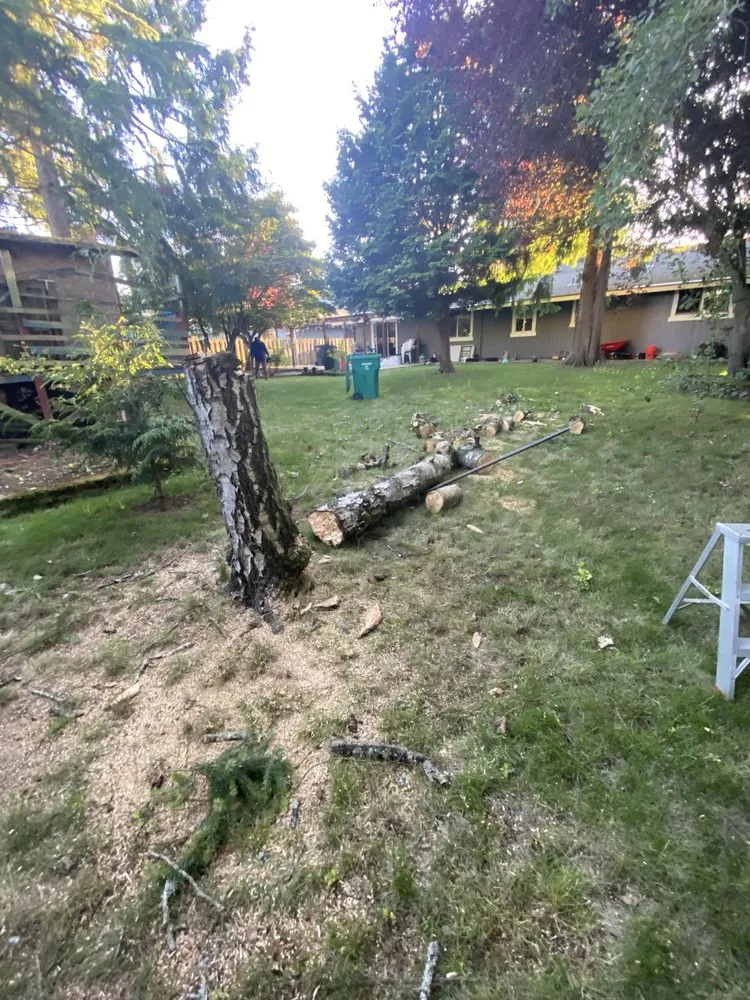 Professional landscape design for year-round maintenance in Federal Way, WA by Stay Green Brothers