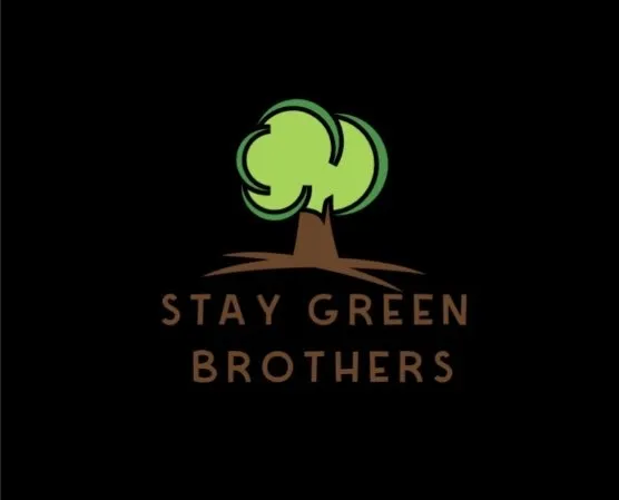 Reliable landscape design for residential properties across Federal Way, WA - Stay Green Brothers