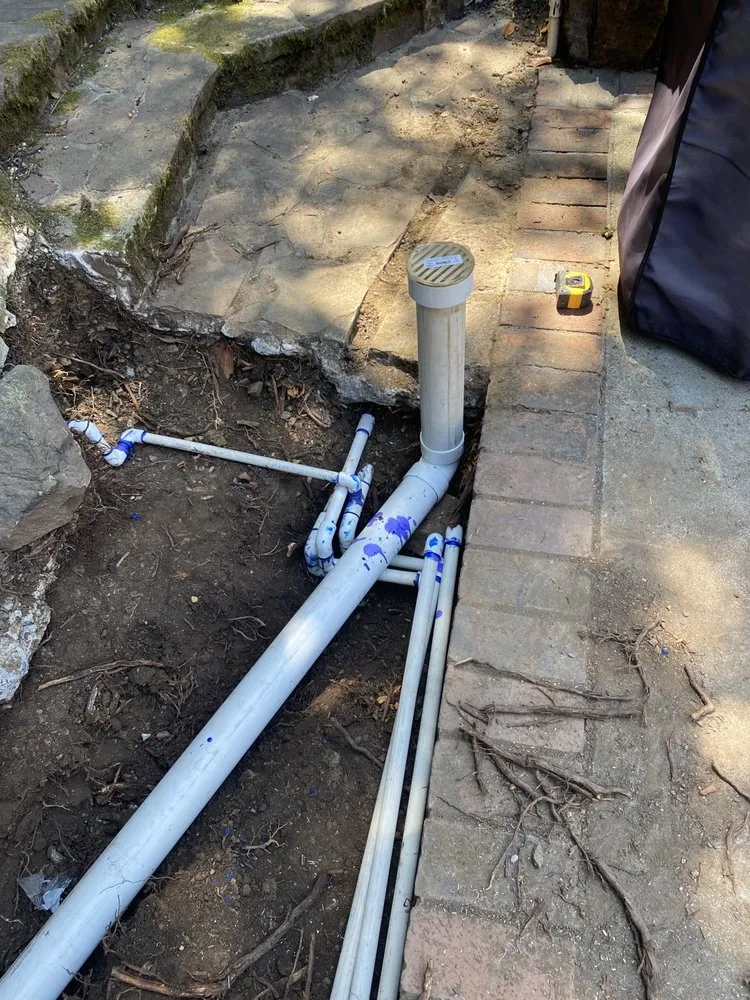 Custom yard maintenance experts serving Orangevale, CA - Stay Green Lawn Restoration