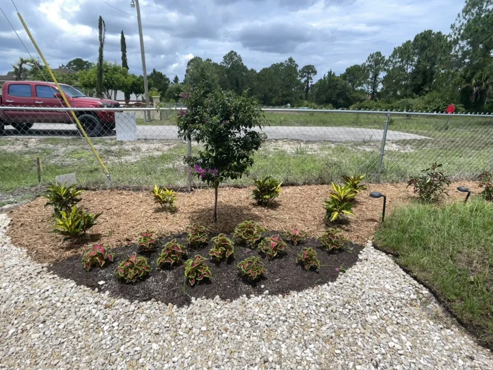 Professional outdoor landscaping near you in Cape Coral, FL by Stay Green Lawn Service