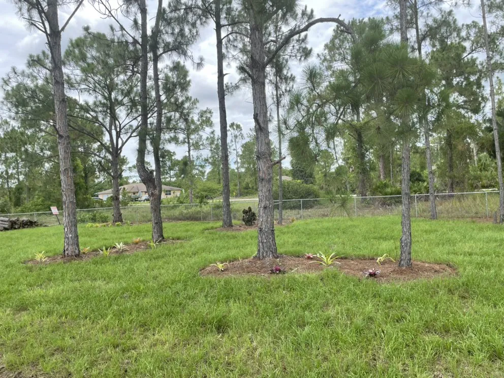 Custom landscaping services for year-round maintenance in Cape Coral, FL by Stay Green Lawn Service