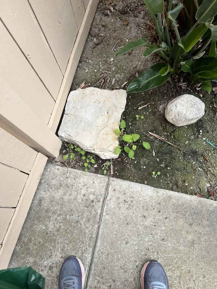 Expert residential landscaping in Santa Clarita, CA - Stay Green