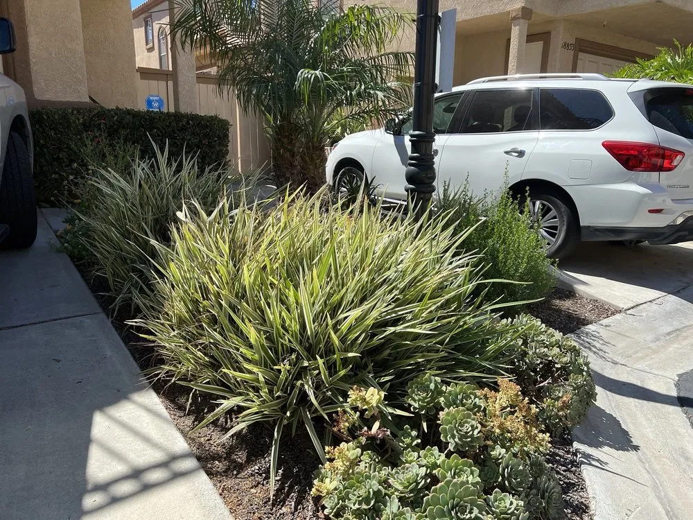 Custom garden landscaping in Santa Clarita, CA - Stay Green