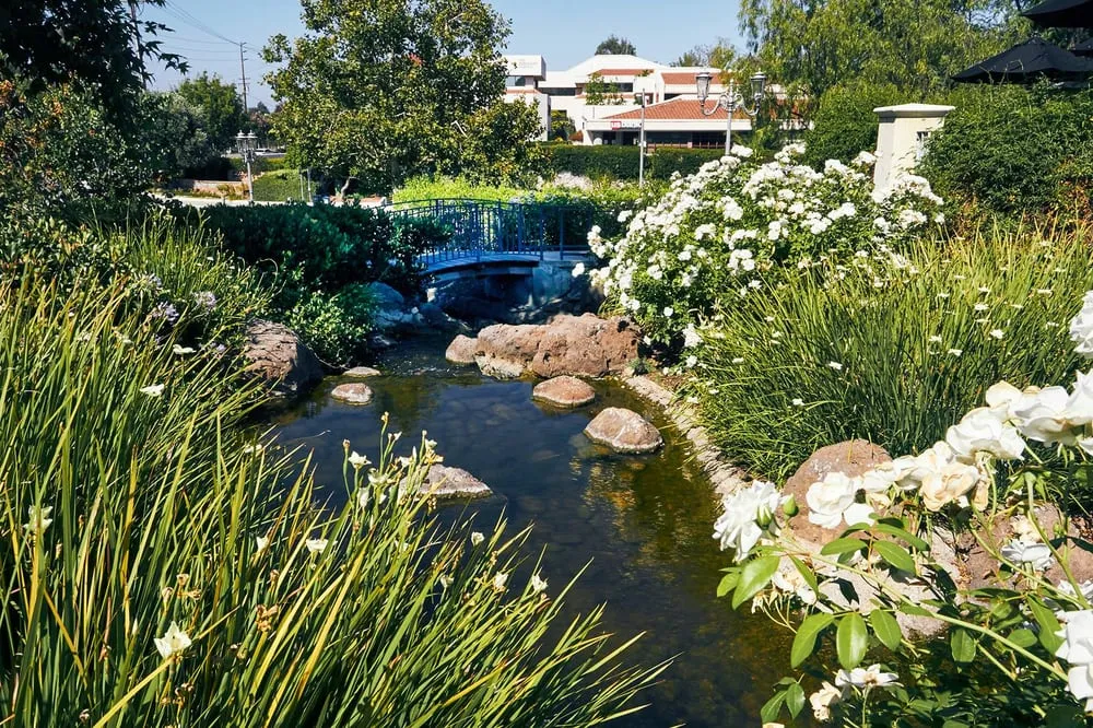 Local yard cleanup service near you in Santa Clarita, CA by Stay Green