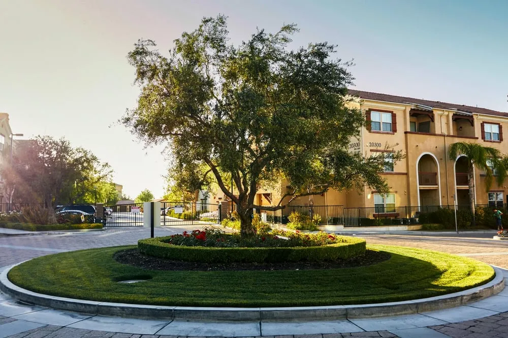 Top-rated landscape design experts serving Santa Clarita, CA - Stay Green