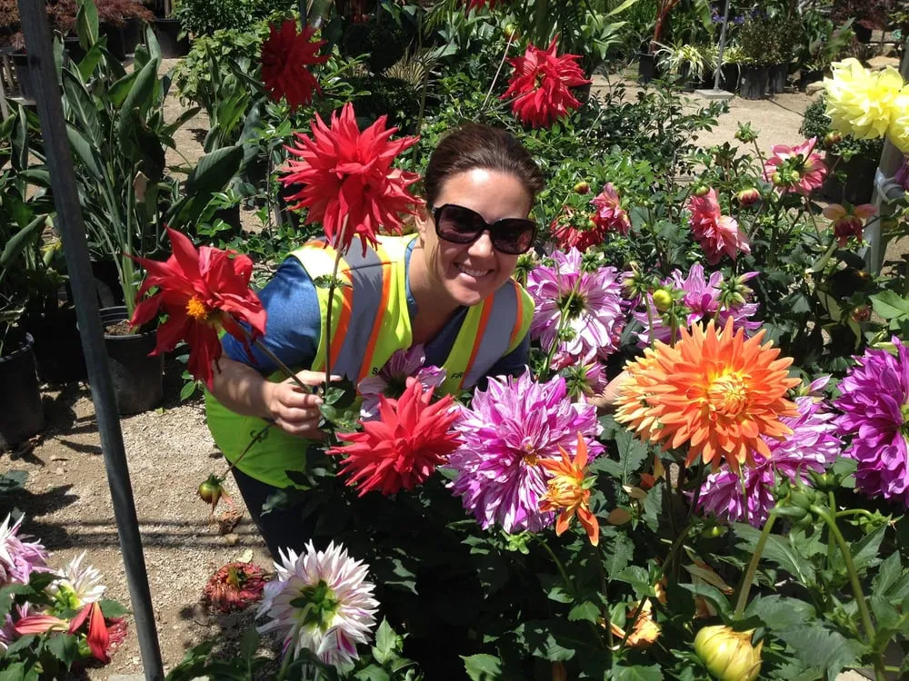 Affordable yard cleanup service in Santa Clarita, CA by Stay Green