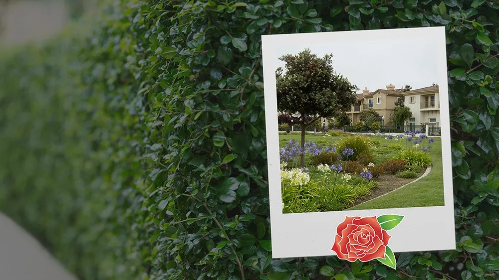 Trusted yard maintenance for outdoor upgrades across Santa Clarita, CA - Stay Green