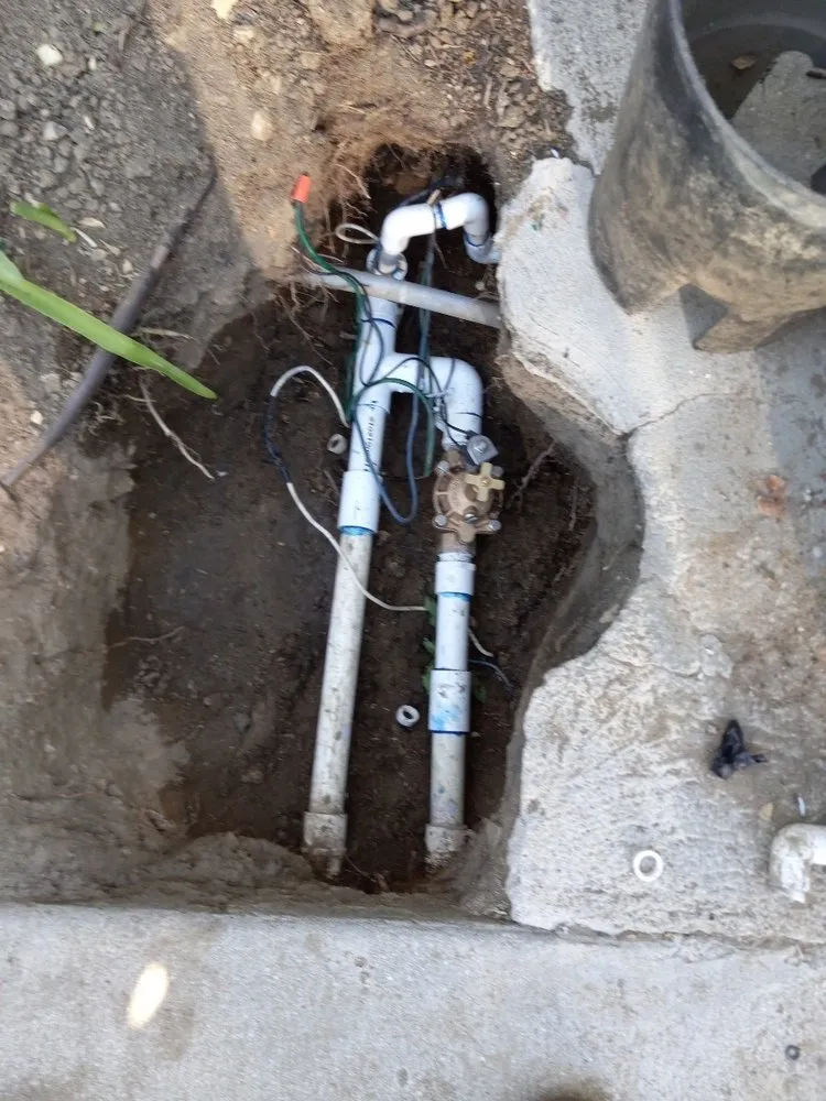 Professional residential landscaping near you in Santa Clarita, CA by Stay Green