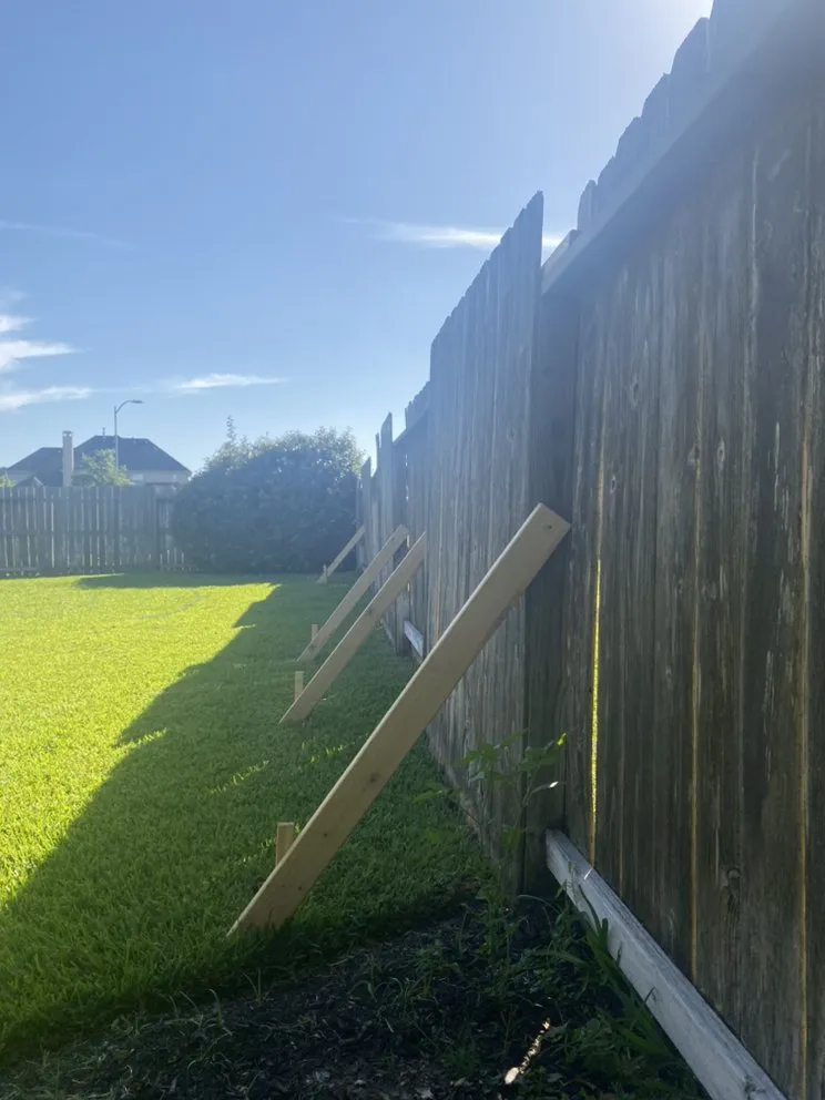 Reliable landscape installation experts serving Houston, TX - Staygreen Landscape & Design