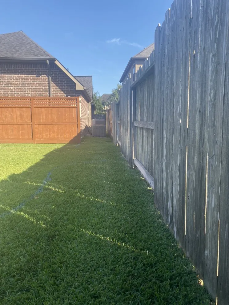 Professional garden landscaping for year-round maintenance in Houston, TX by Staygreen Landscape & Design