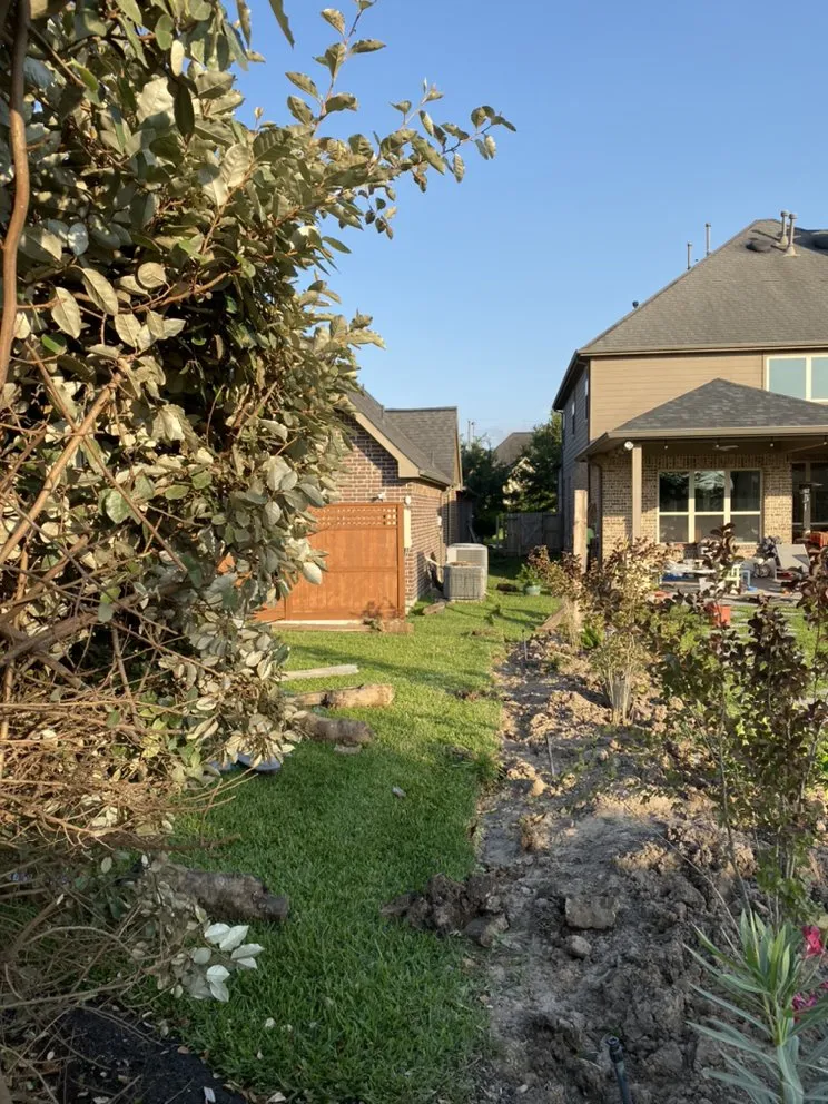 Professional yard cleanup service for year-round maintenance in Houston, TX by Staygreen Landscape & Design