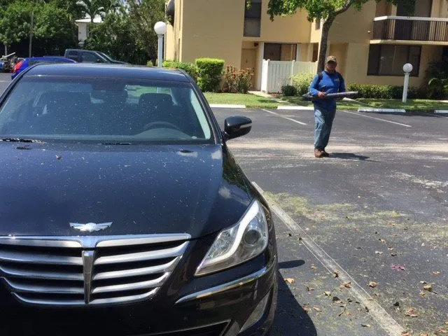 Custom outdoor landscaping in Davie, FL by Staying Green