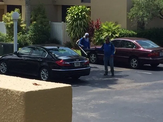 Top-rated outdoor landscaping in Davie, FL - Staying Green