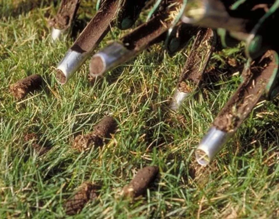 Custom landscape installation in Pleasant Hill, MO by Stayton Lawn and Landscape