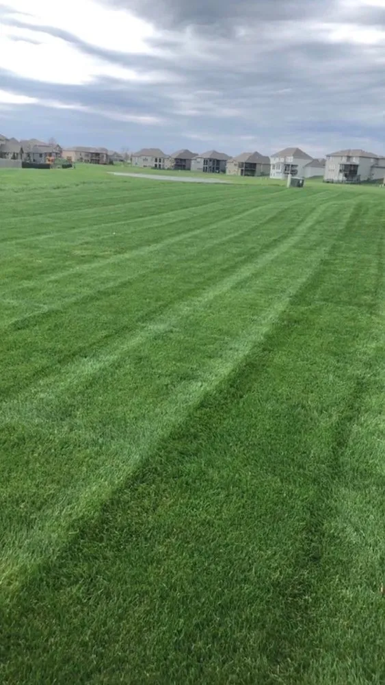 Custom landscape installation in Pleasant Hill, MO by Stayton Lawn and Landscape