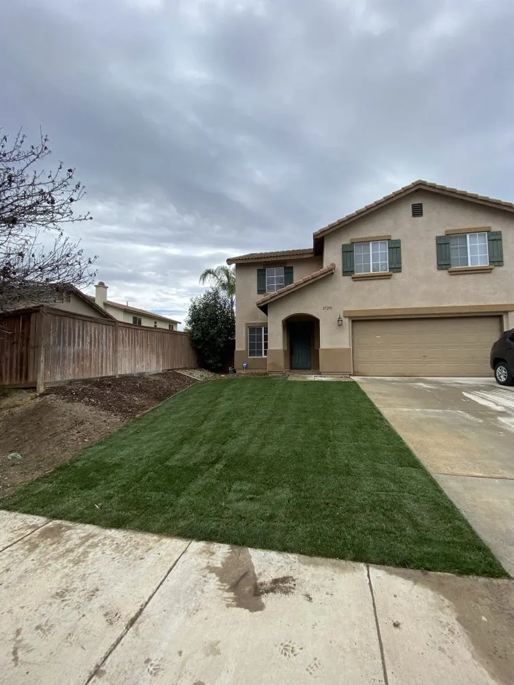 Professional yard maintenance experts serving San Diego, CA - Steady Bros Construction