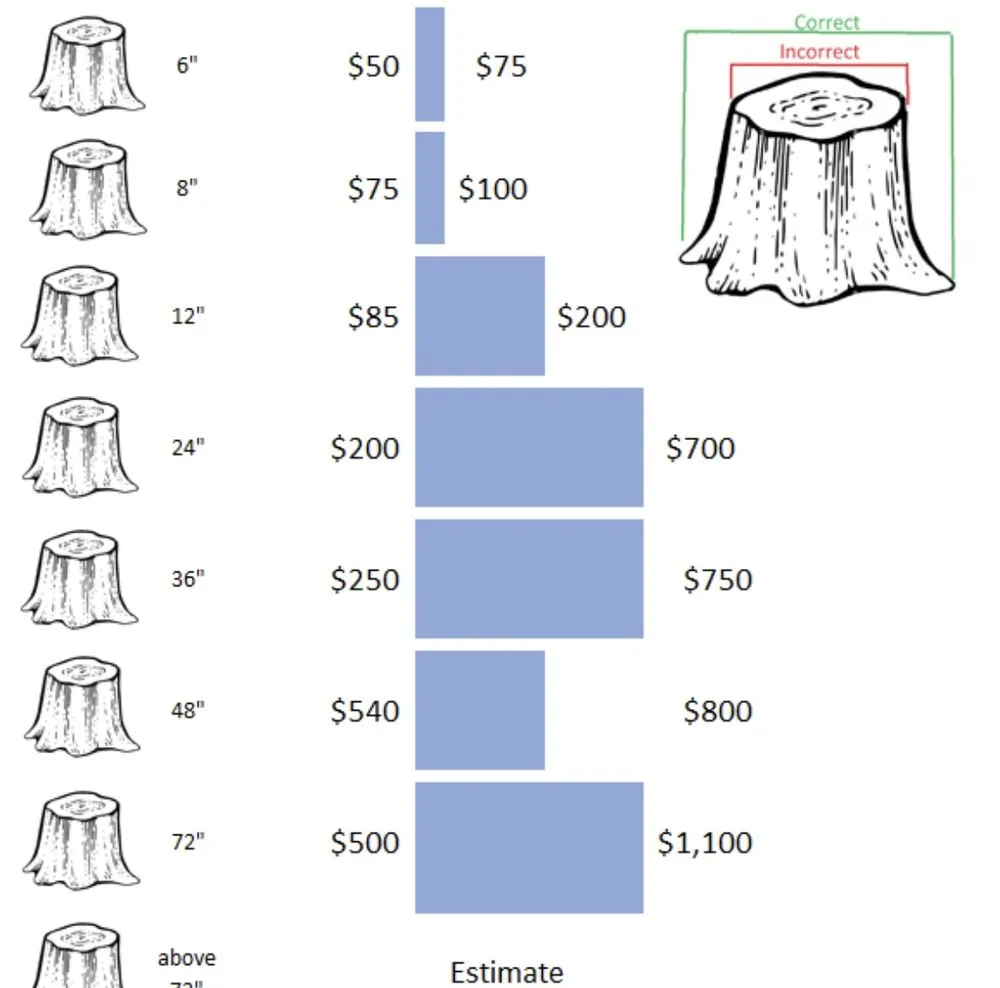 Top-rated garden landscaping with custom design across Rocky Mount, NC - Steady Grinding Stump Clearing