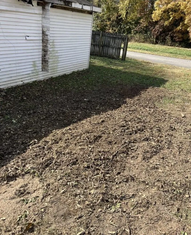 Expert landscape installation for beautiful yards in Rocky Mount, NC by Steady Grinding Stump Clearing