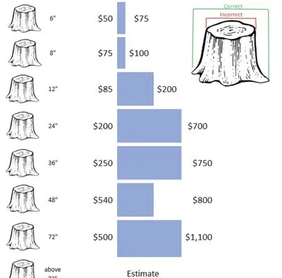 Steady Grinding Stump Clearing Logo