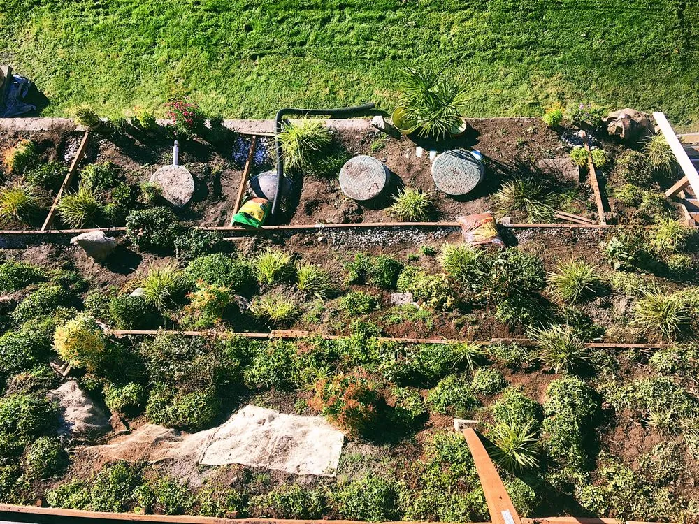 Custom lawn care service near you across Seattle, WA - Steady Hands NW