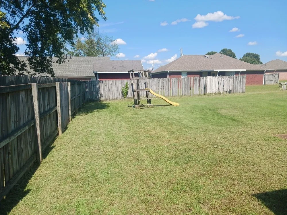 Custom landscaping services for beautiful yards in Jackson, TN by Steady Solutions