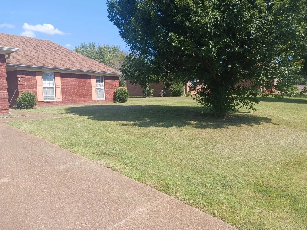 Local landscaping services in Jackson, TN by Steady Solutions