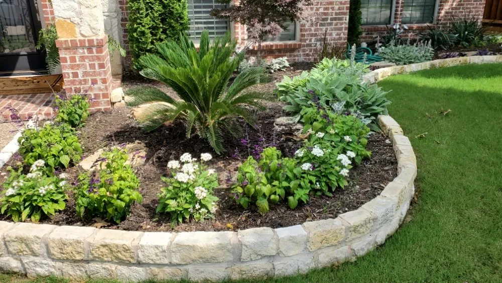 Professional yard maintenance for homes across Frisco, TX - Stealth Landscape Services