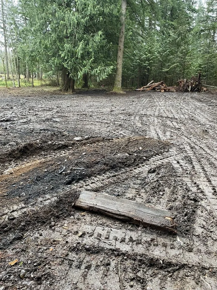 Expert residential landscaping experts serving Black Diamond, WA - Stealth Landscaping