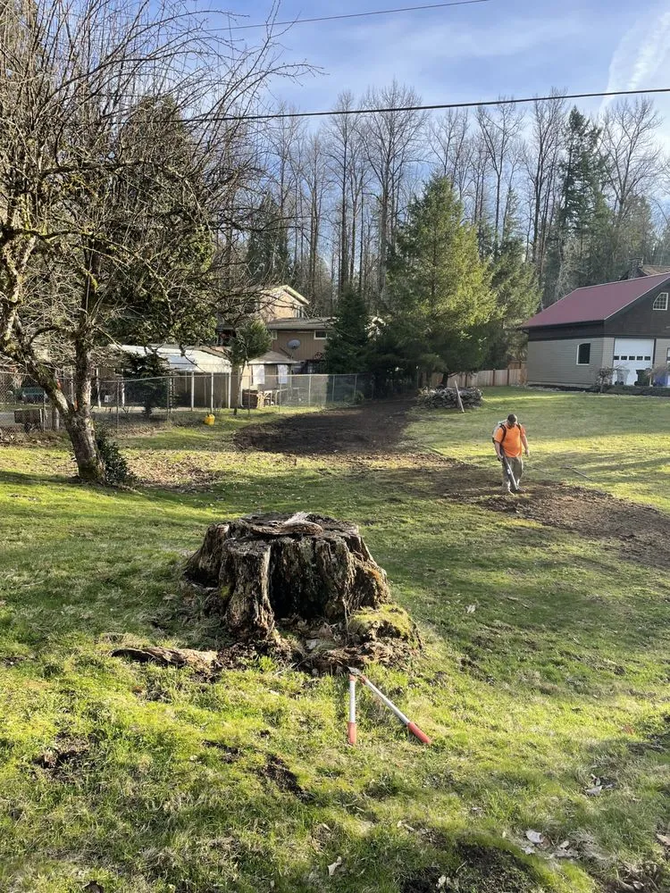 Reliable landscaping services in Black Diamond, WA - Stealth Landscaping