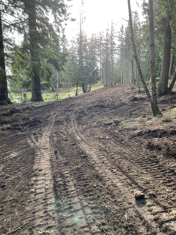 Reliable lawn care service in Black Diamond, WA by Stealth Landscaping