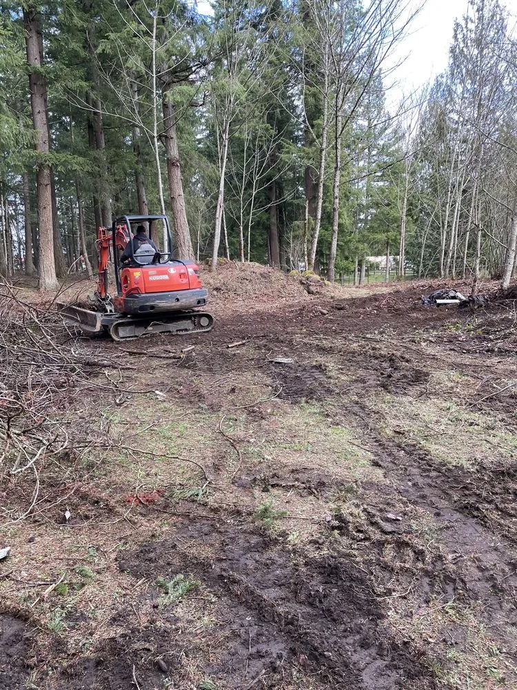 Top-rated outdoor landscaping in Black Diamond, WA - Stealth Landscaping