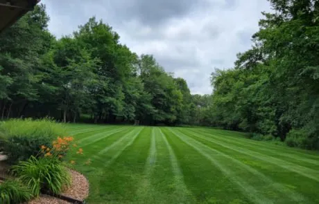Top-rated yard maintenance in Rochester, MN - Stealth Mowed
