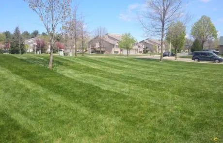 Affordable landscape installation in Rochester, MN - Stealth Mowed