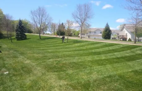 Local lawn care service experts serving Rochester, MN - Stealth Mowed