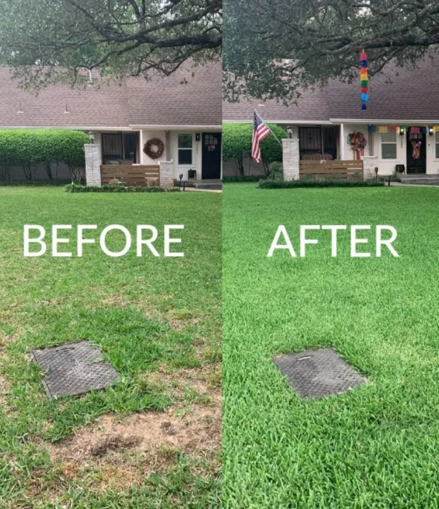 Local yard cleanup service for residential properties in Canton, OH by StealthOne Landscaping